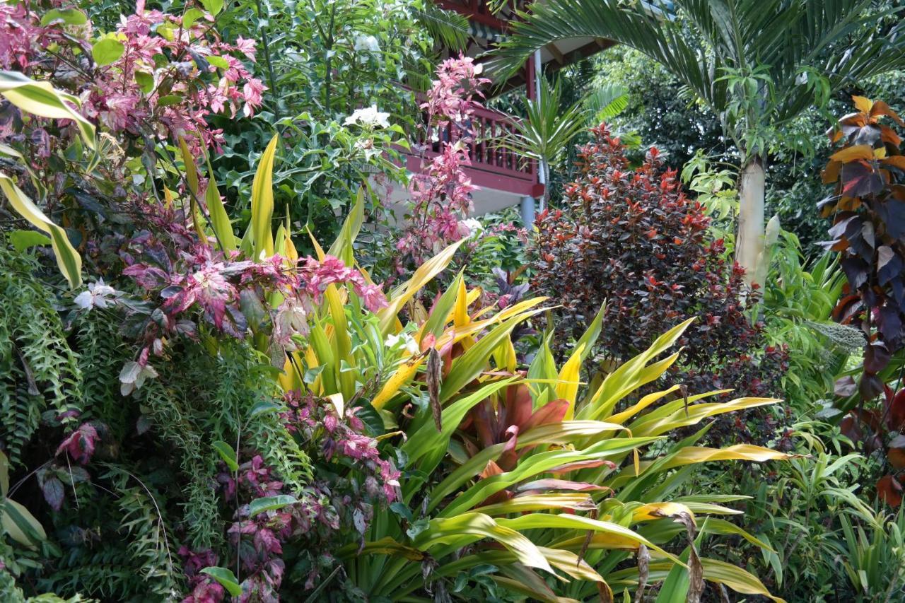 Muri Retreat Apartments Rarotonga Exterior photo