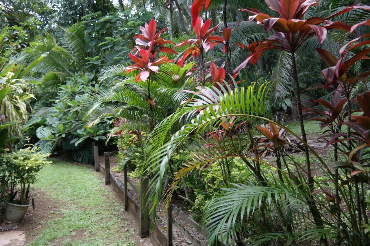 Muri Retreat Apartments Rarotonga Exterior photo